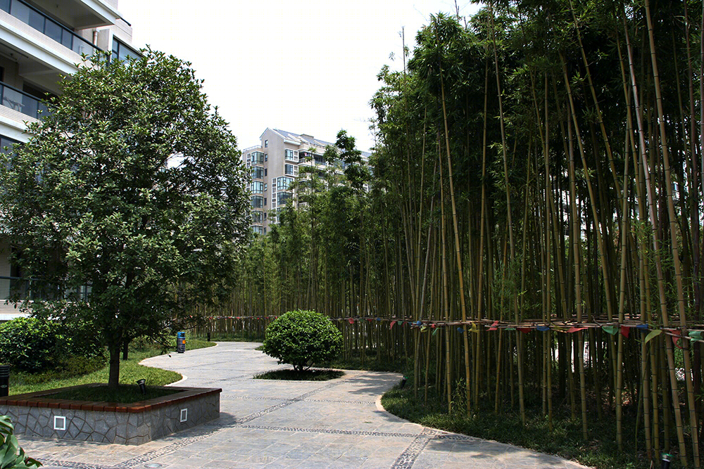 南京奥体清竹园 | 运动健康社区的景观设计-10