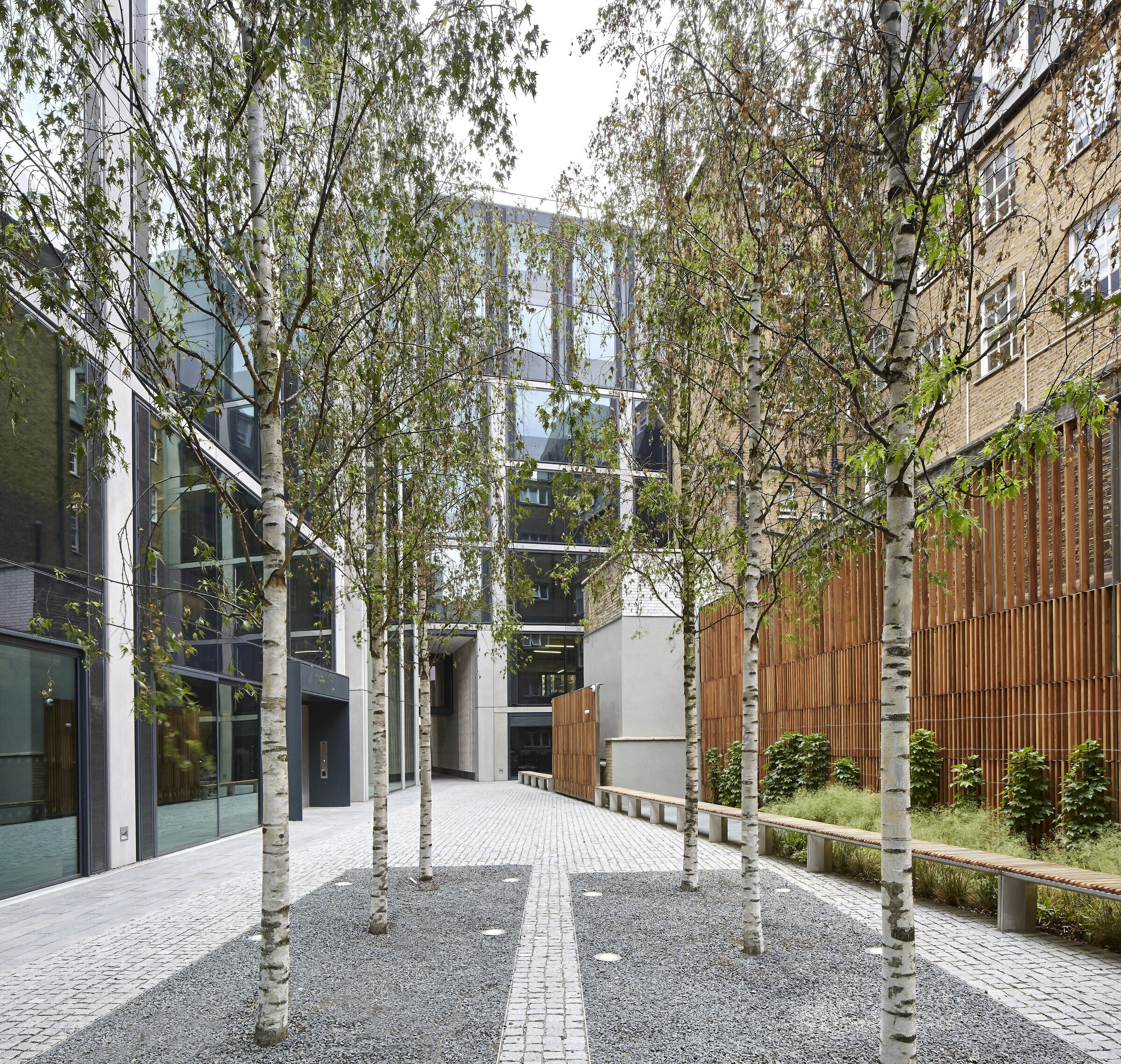 伦敦 40 Chancery Lane 办公建筑丨英国伦敦丨Bennetts Associates Architects-17