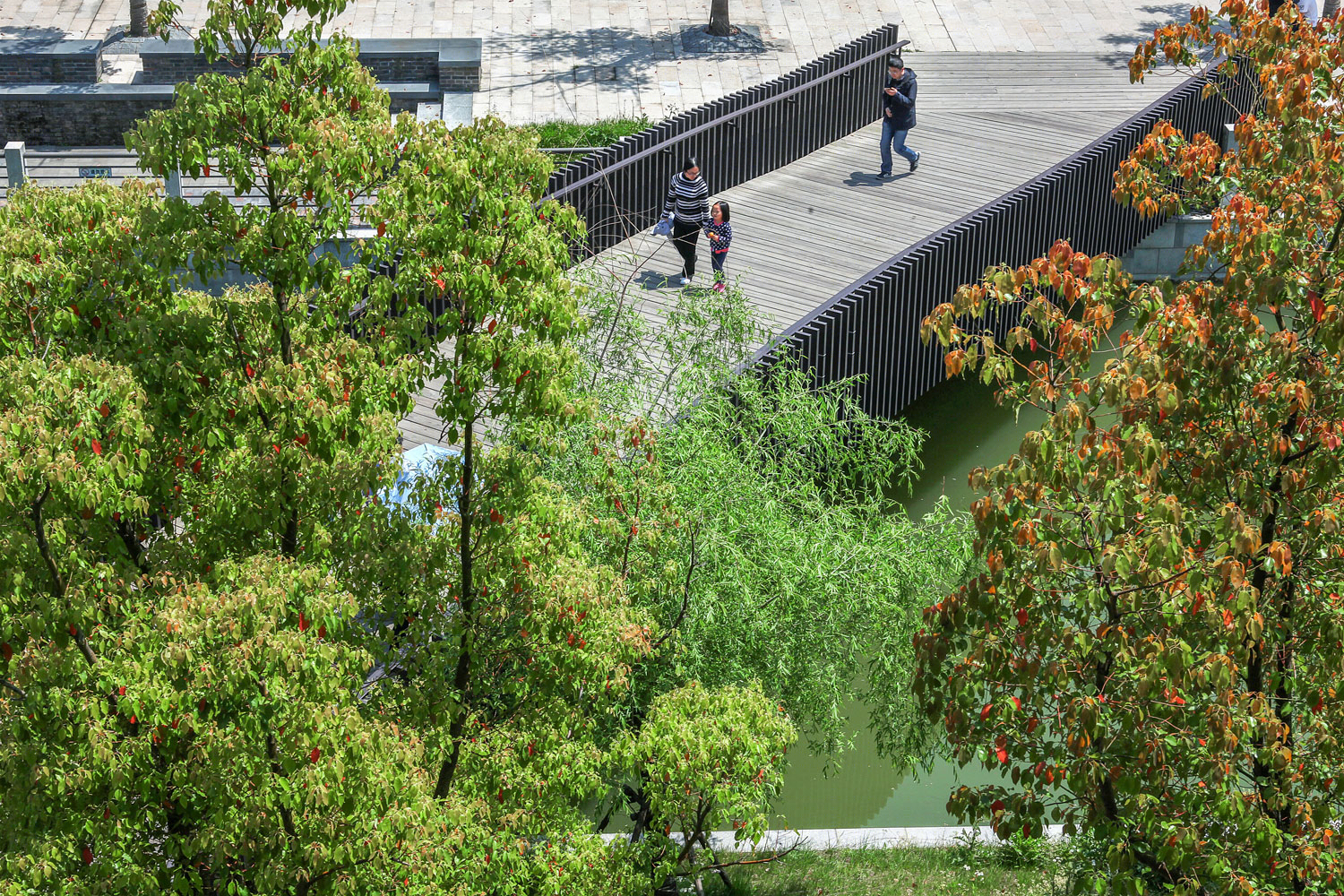 上海理工大学校园景观-23