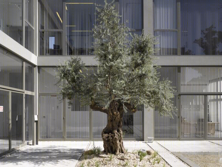 以色列 Shitufim · Zionism2000 园区丨Gottesman-Szmelcman Architecture-24