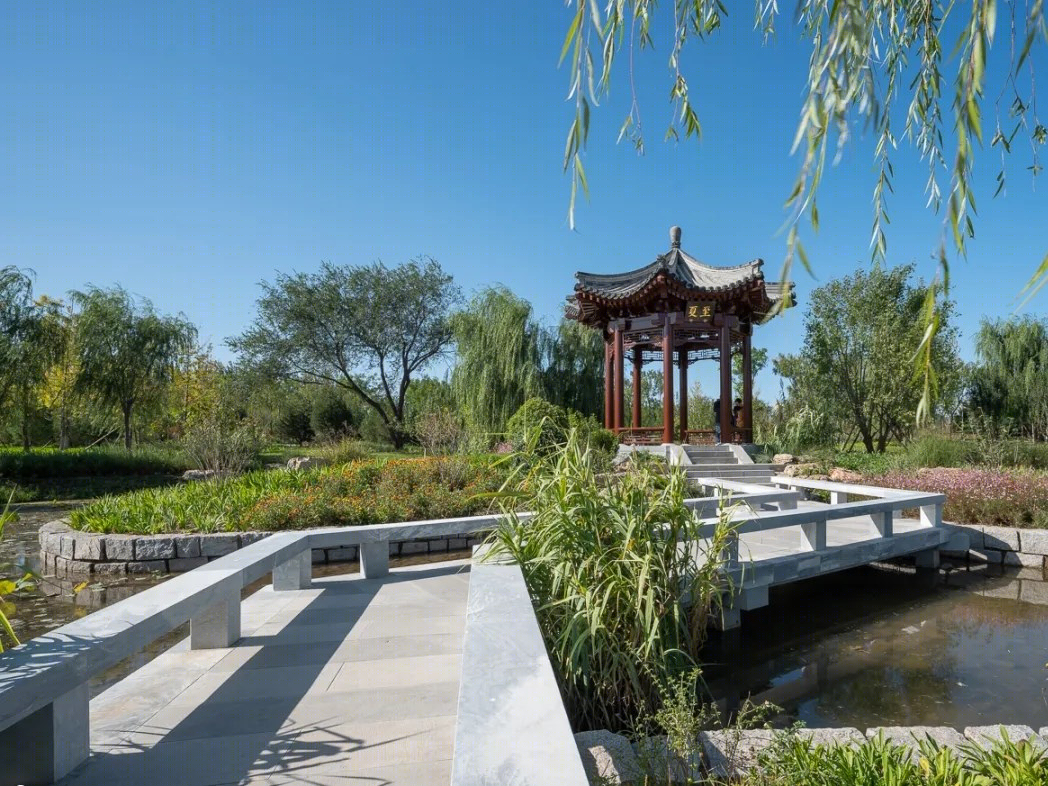 通州城市绿心森林公园-3
