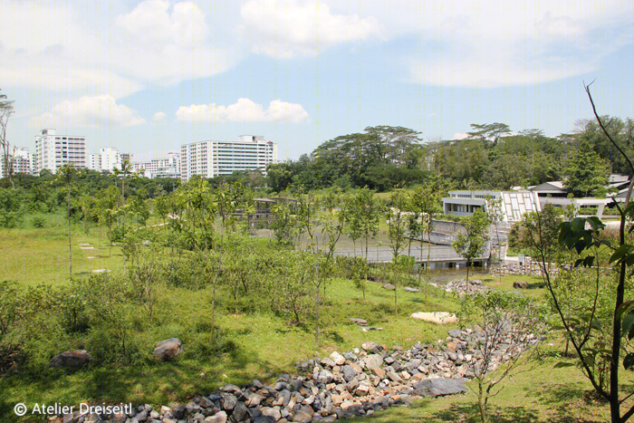 新加坡 JTC 清洁科技园-26