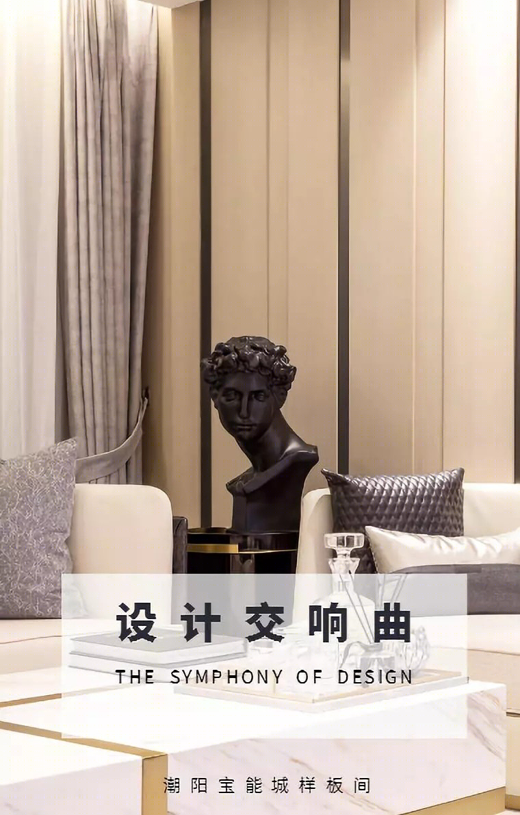 宝能城04户型样板间-0