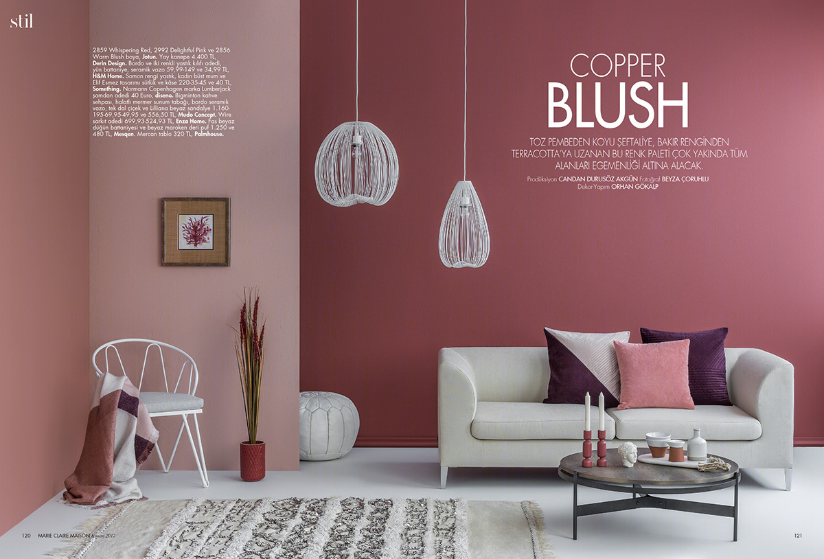 Anastasiya Gushchina丨展厅丨Copper Blush-4