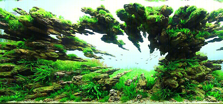 梦幻水族馆 | 水下景观的艺术创新-21