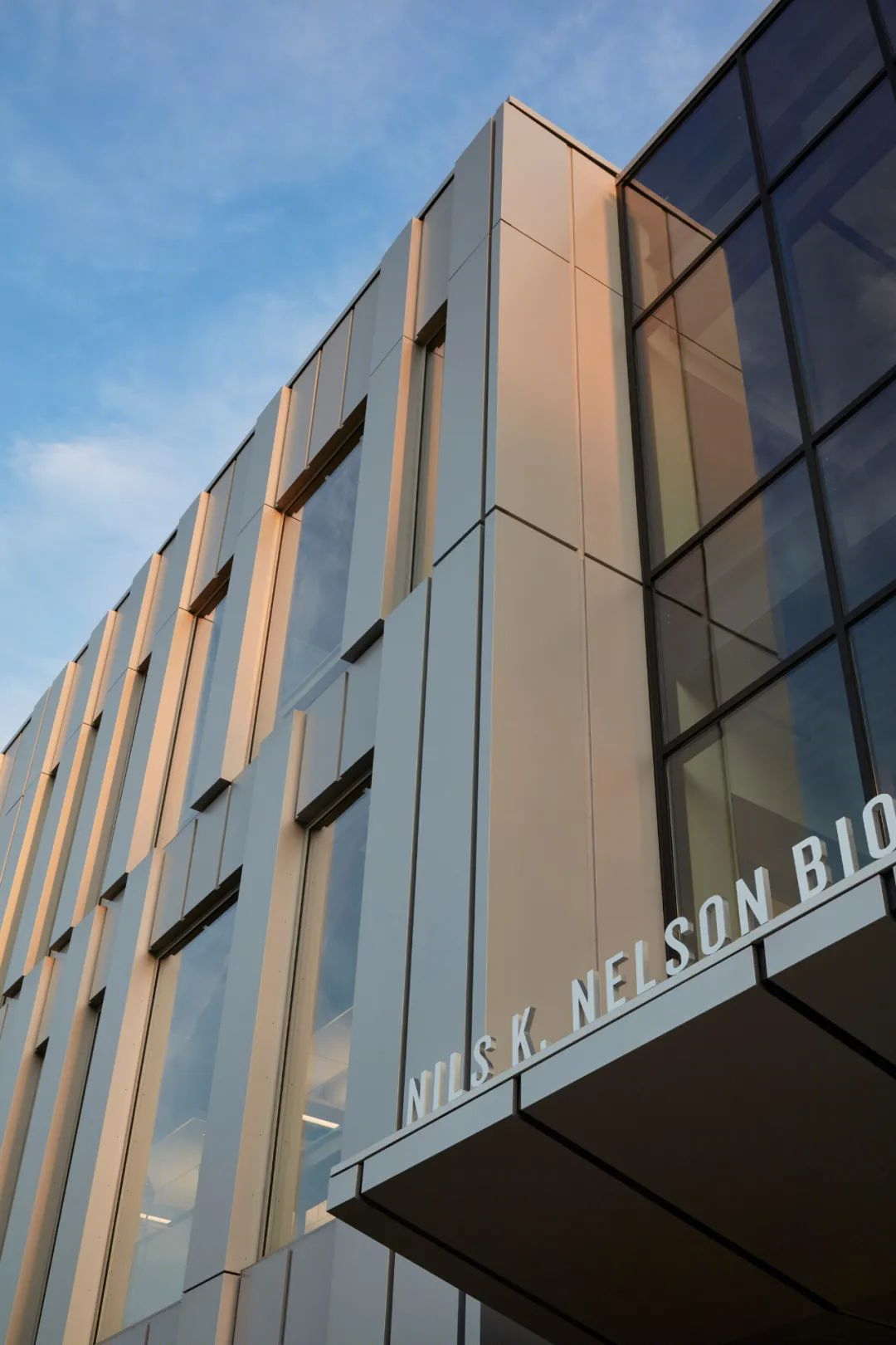 普渡大学西北校区生物科学创新大楼丨美国丨CannonDesign-22