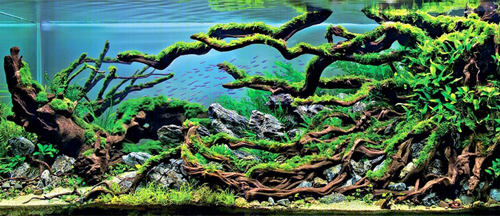 梦幻水族馆 | 水下景观的艺术创新-23
