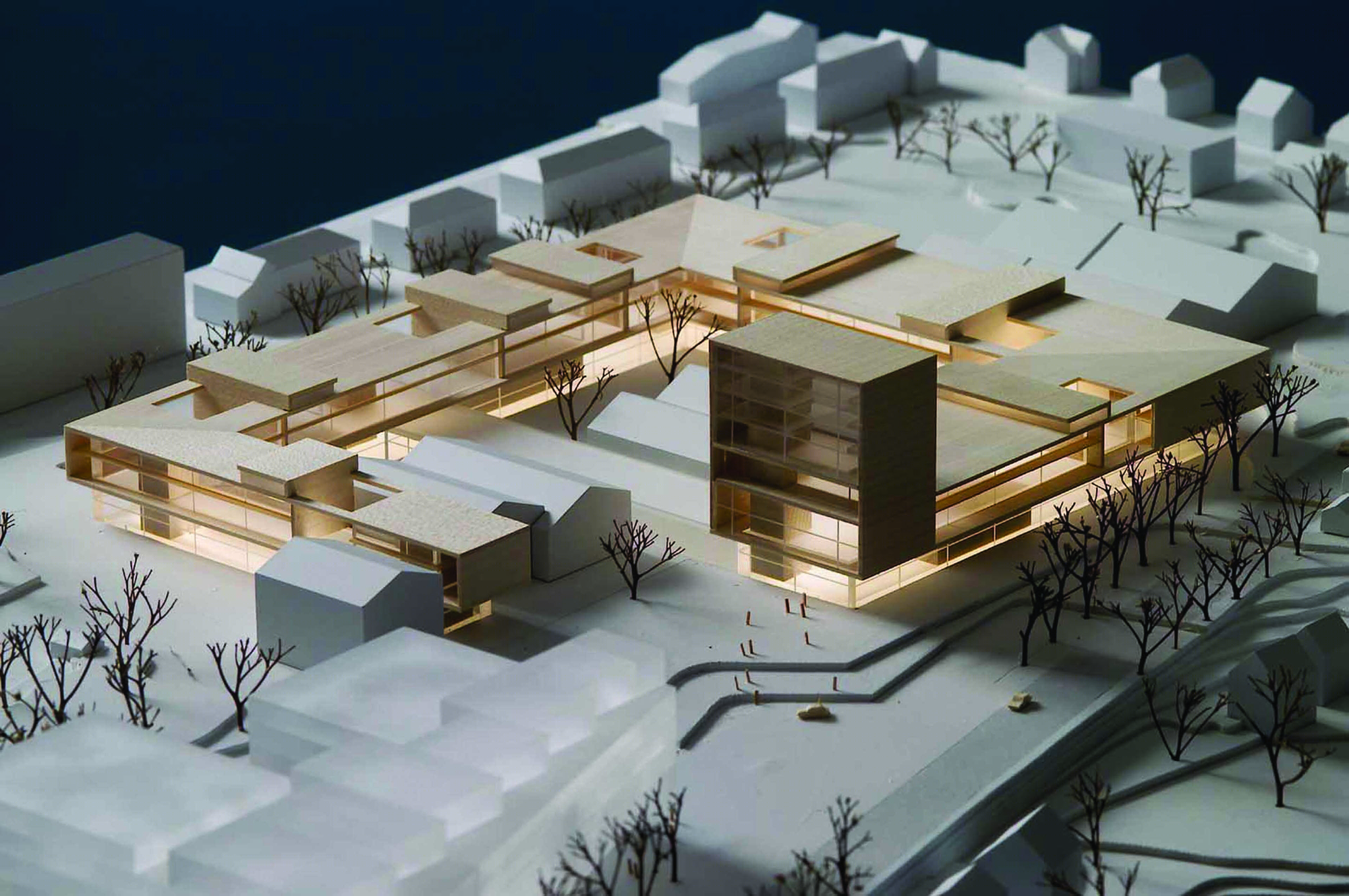 连接(Linking)丨Cubo Arkitekter,HLM Arkitektur-30