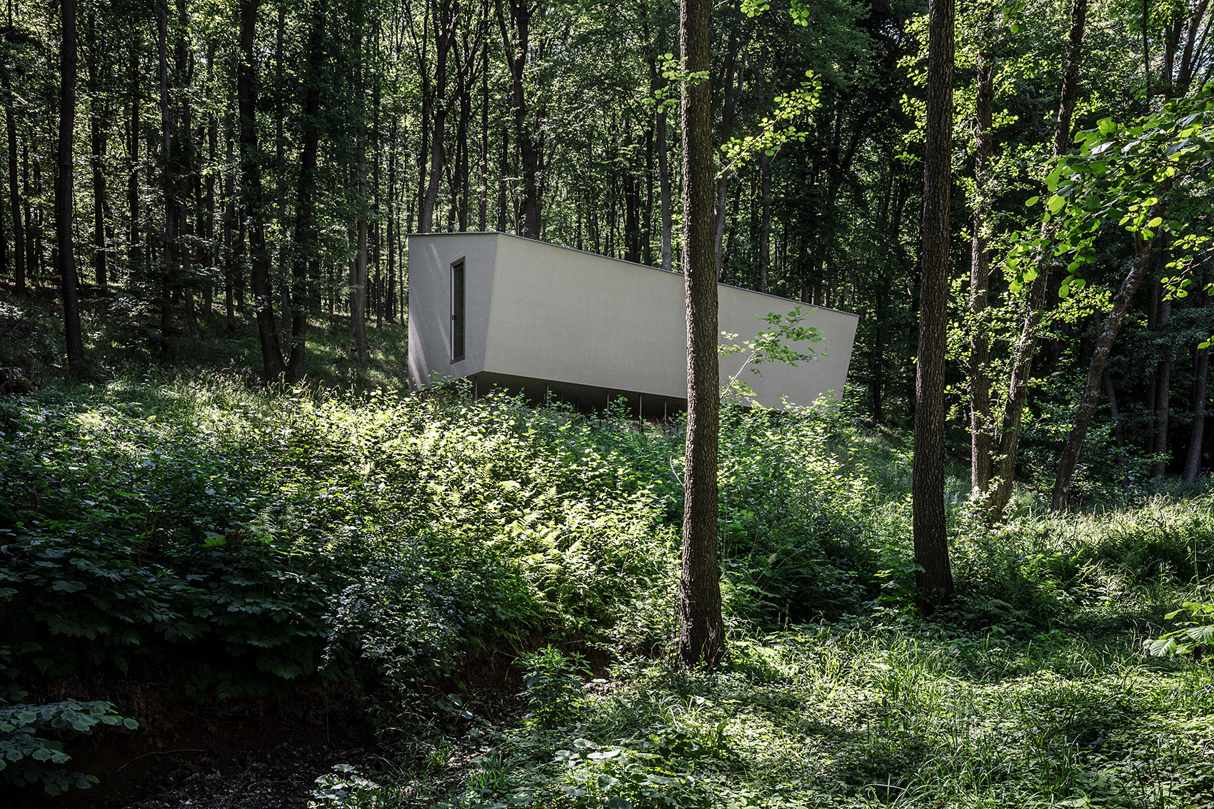 匈牙利 Moss 木屋丨Attila Béres,Attila Hideg-4
