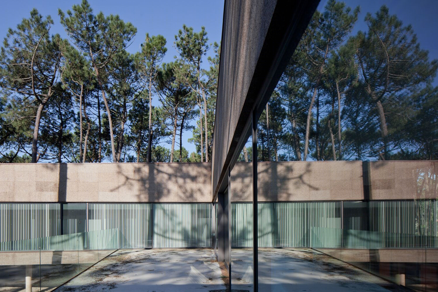 葡萄牙高性能冲浪中心丨Branco Cavaleiro Architects-13