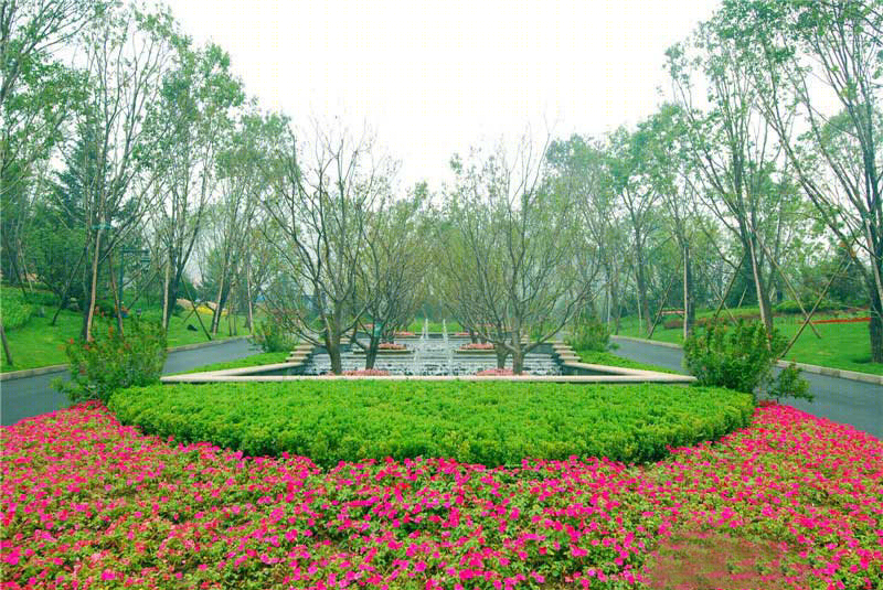 北京八达岭▪孔雀城-37