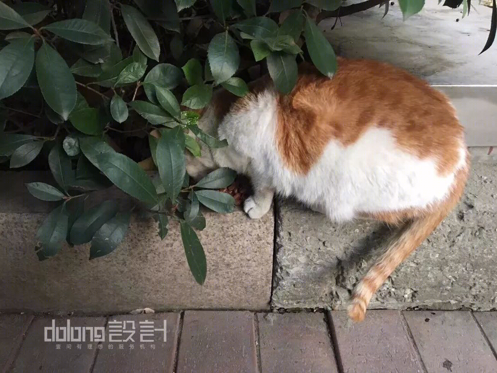 温润木石,烟火日常 | 南京 110 平米雅室设计-52