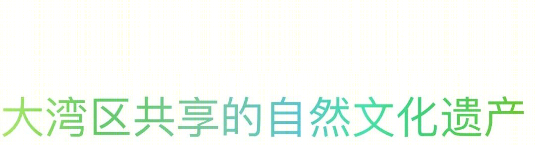 深圳自然博物馆丨贝加艾奇(B+H),3XN,筑博设计(联合体)-118