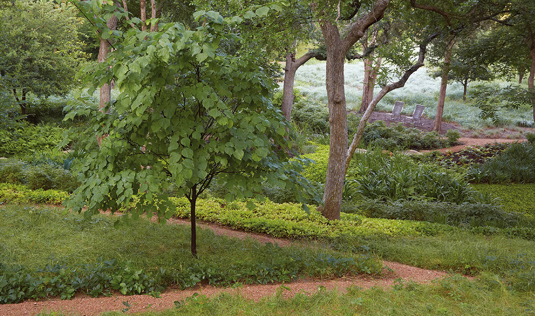 2013 ASLA 住宅景观设计类荣誉奖:达拉斯庄园景观,Reed Hilderbrand LLC-41