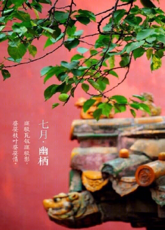 银河国际-25