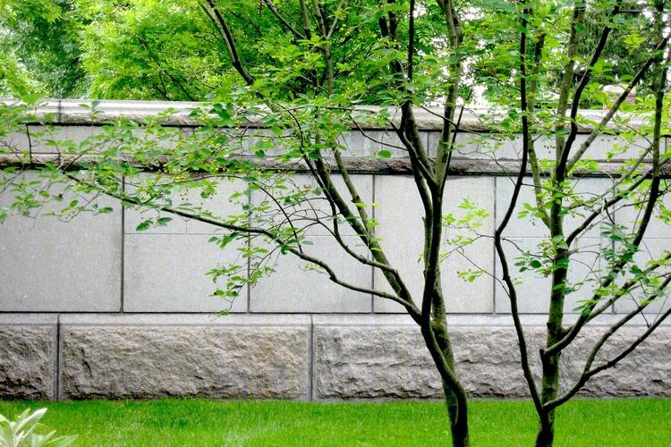 美国剑桥奥本山公墓丨Halvorson Design事务所-15