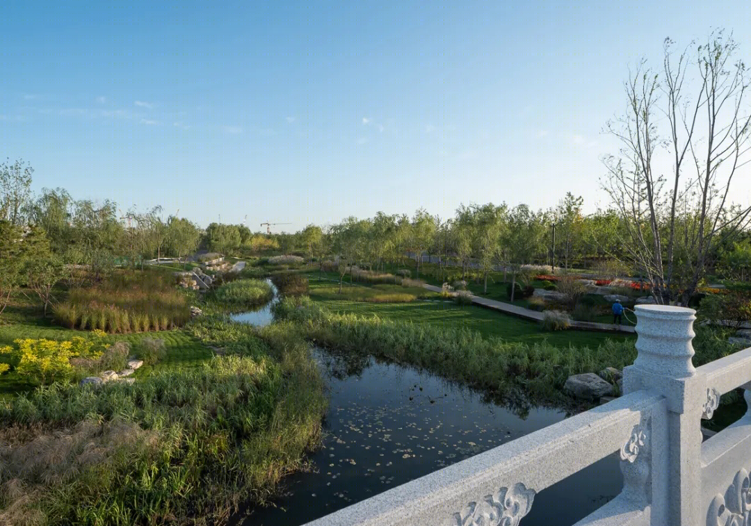通州城市绿心森林公园-11