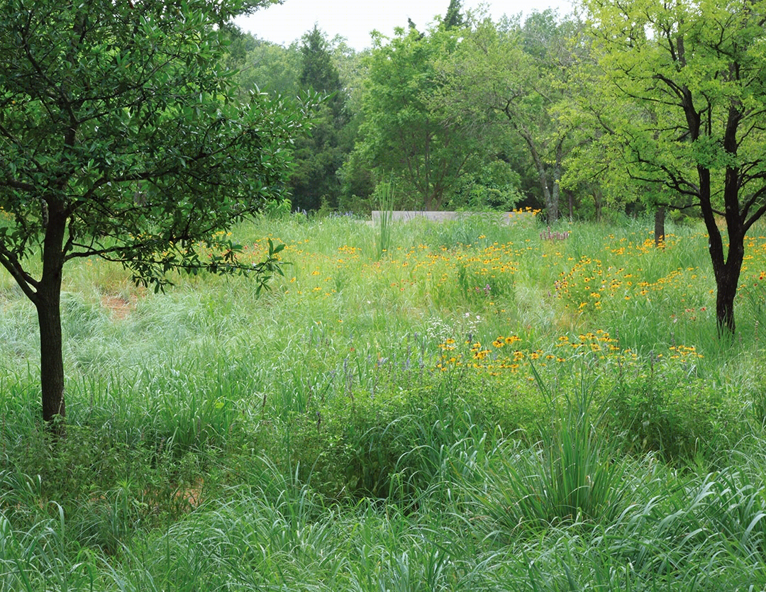 2013 ASLA 住宅景观设计类荣誉奖:达拉斯庄园景观,Reed Hilderbrand LLC-47