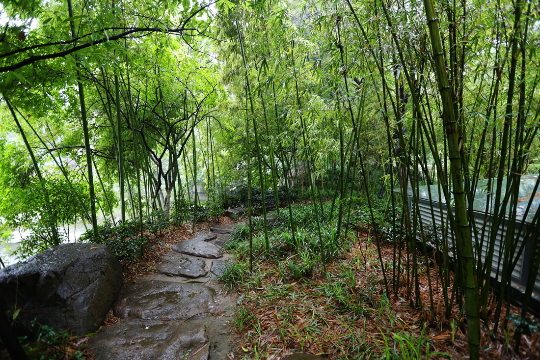 中亚园林丨小区景观丨杭州东方润园住宅景观-8