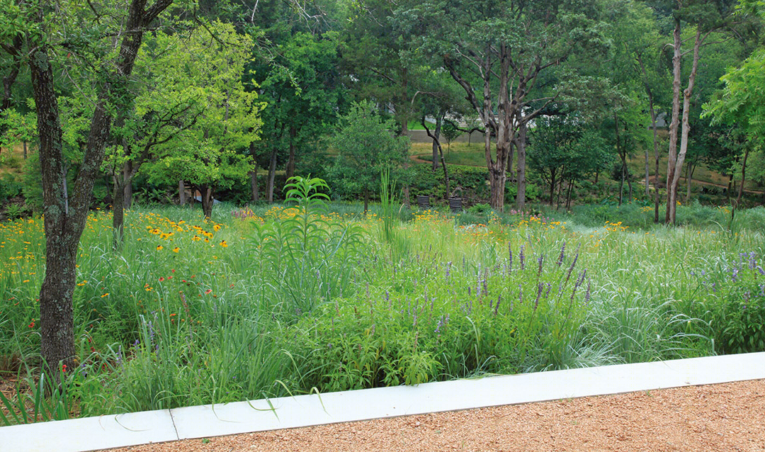 2013 ASLA 住宅景观设计类荣誉奖:达拉斯庄园景观,Reed Hilderbrand LLC-49