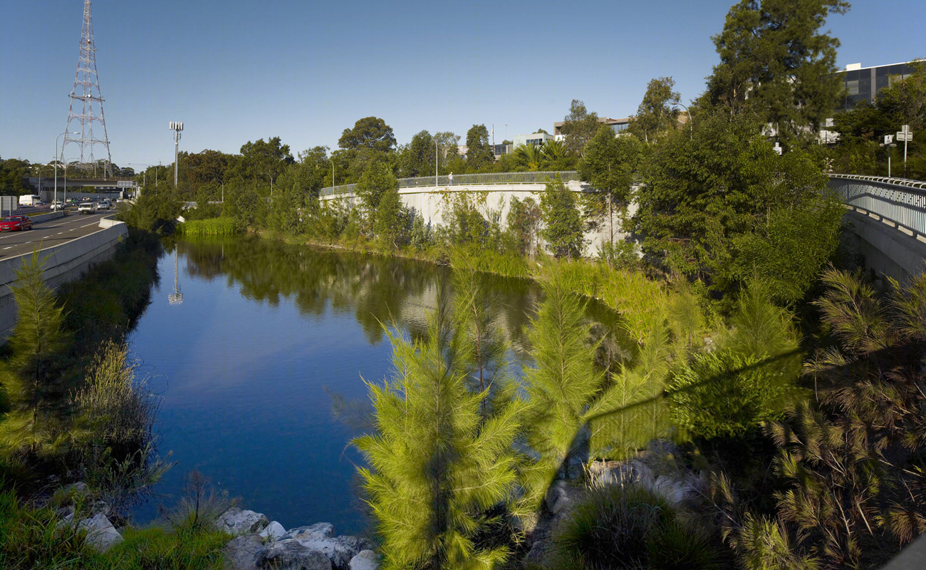 悉尼 Lane Cove 公路改造-12