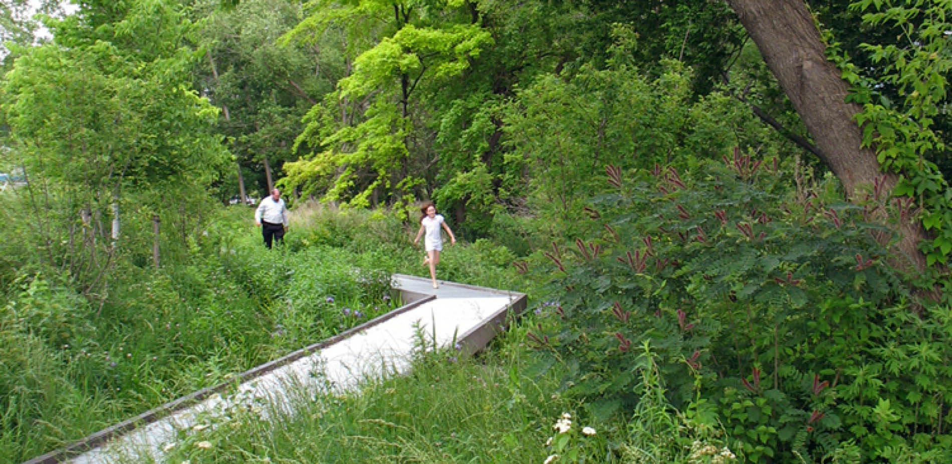 Long Dock 公园-58