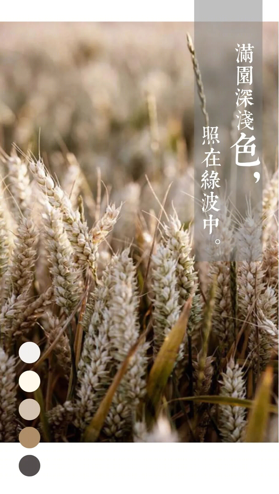 上海衡山逸居·花漾柘湖民宿丨中国上海丨上海建工装饰集团·上海伟伦建筑设计有限公司-4