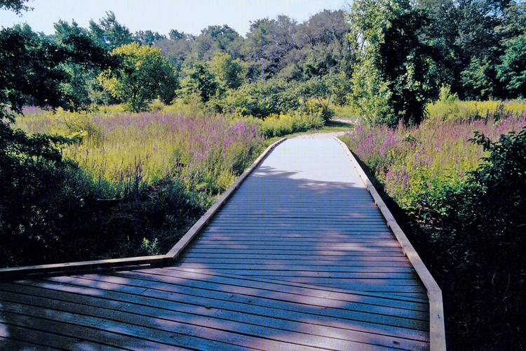 美国波士顿自然中心 (Boston Nature Center)-38