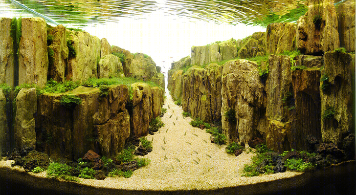 梦幻水族馆 | 水下景观的艺术创新-25
