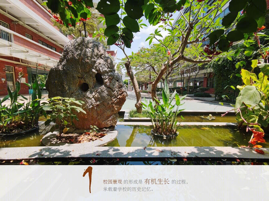 香港中文大学(深圳)附属知新学校品质提升工程丨中国深圳丨北京中外建建筑设计有限公司深圳分公司-6