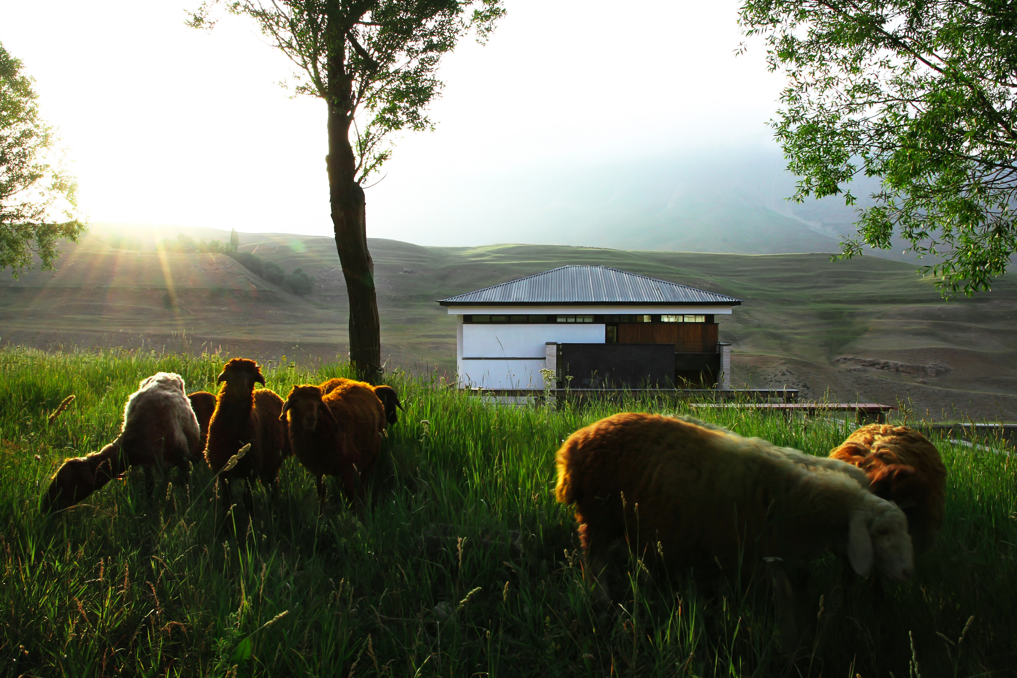 POLOURVILLA|SpecialSpace(MojtabaTasallot)-0