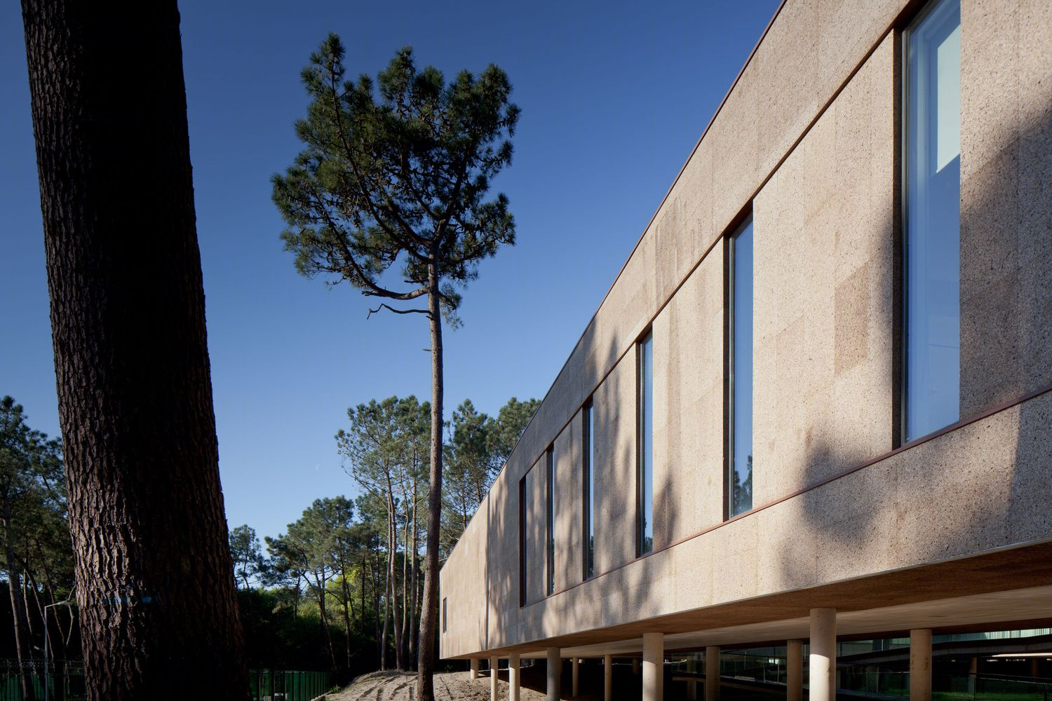 葡萄牙高性能冲浪中心丨Branco Cavaleiro Architects-15