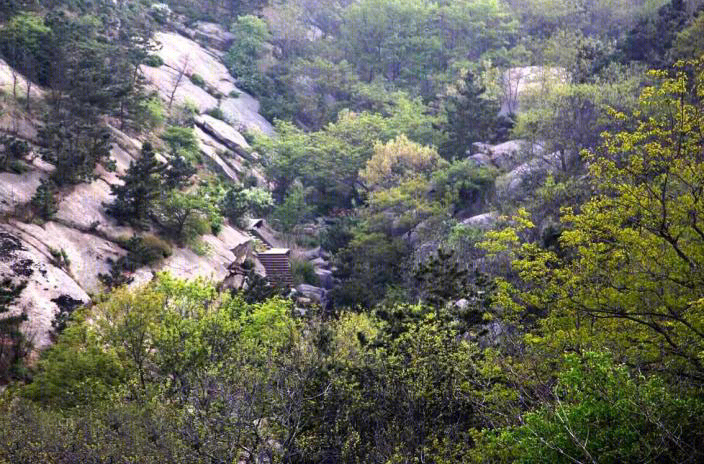 青岛万科小镇景观-14