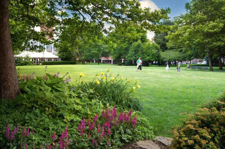 美国 Newburyport 海滨公园-17