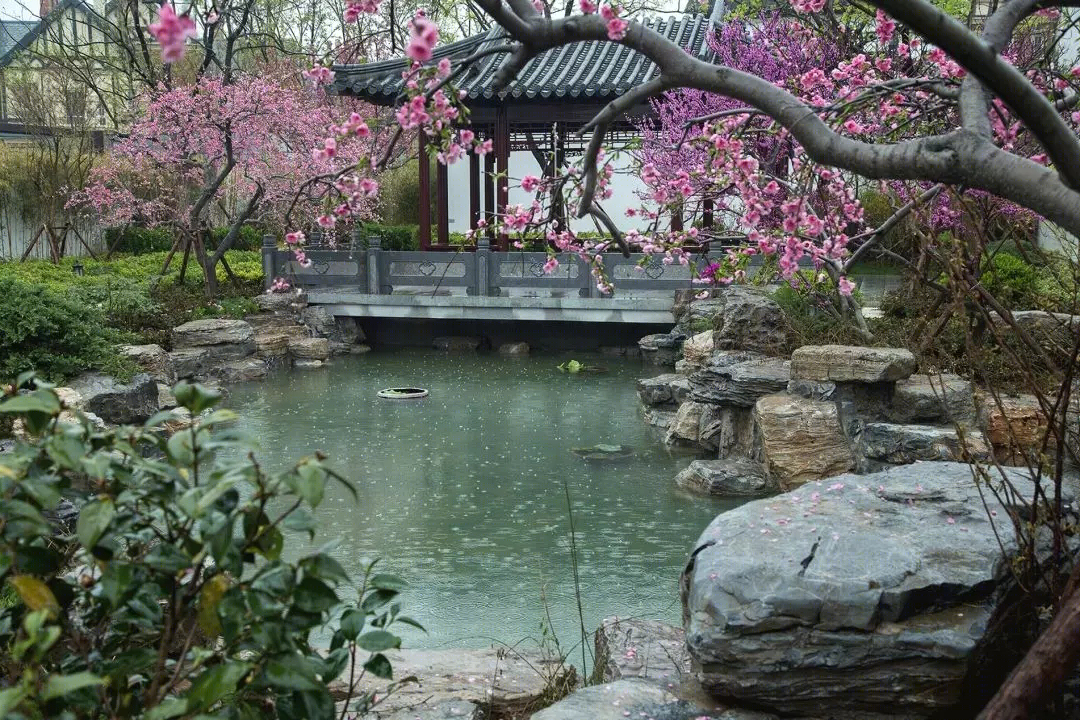 青岛天泰桃花源示范区景观-21