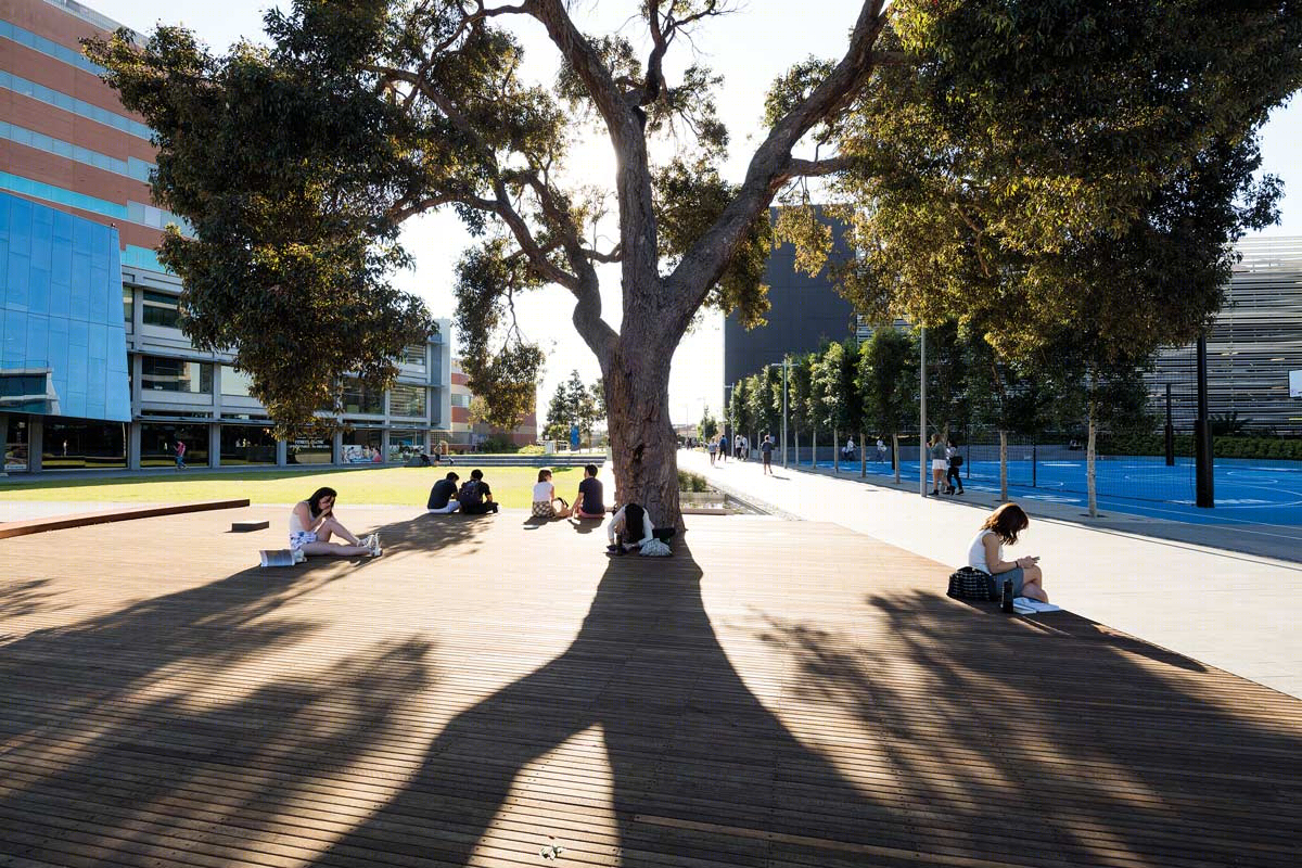 澳大利亚Monash大学校区改造-13