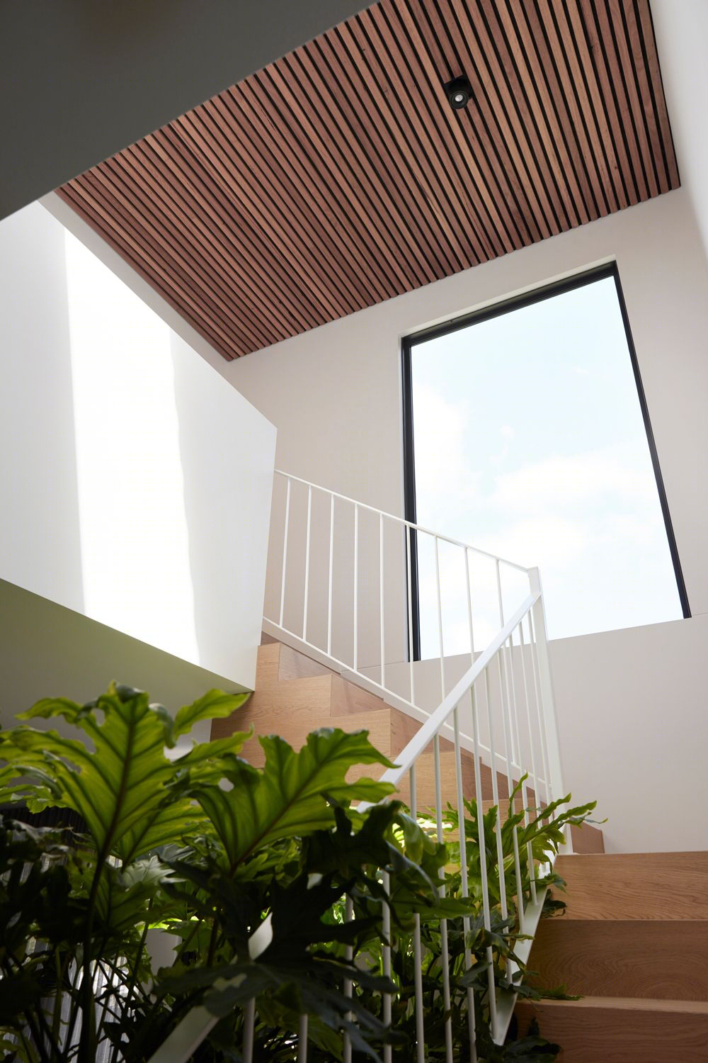 澳大利亚红山 Cora House丨澳大利亚墨尔本丨Tom Robertson Architects-11