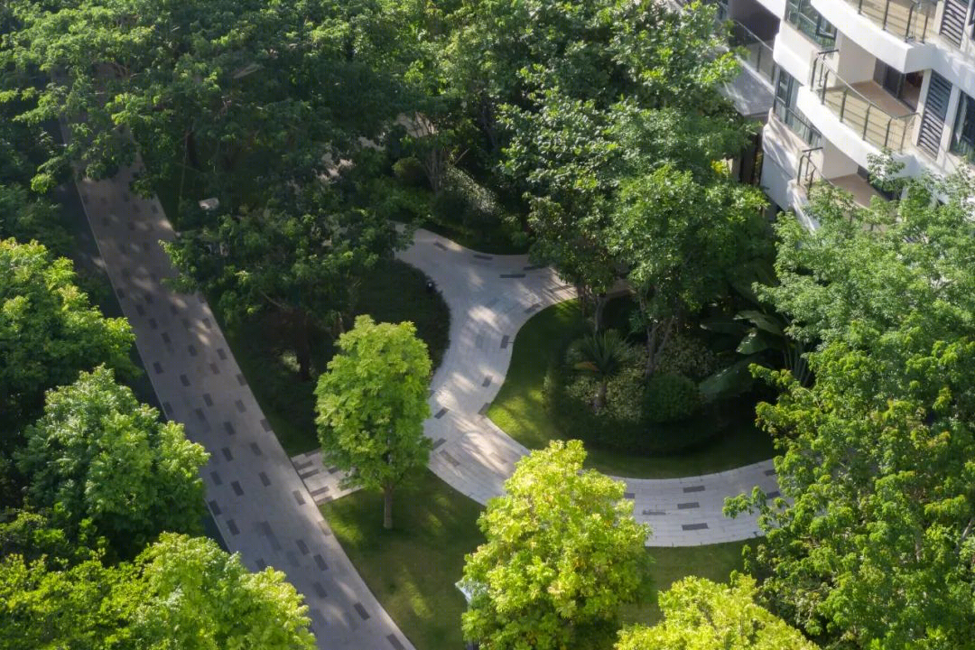 三亚一山湖丨中国三亚丨柏涛建筑设计（深圳）有限公司-19