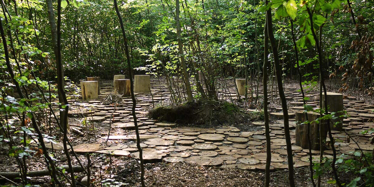 瑞士“丛林广场” · 融入自然的软旅游景观设计丨Studio Vulkan Landschaftsarchitektur-24