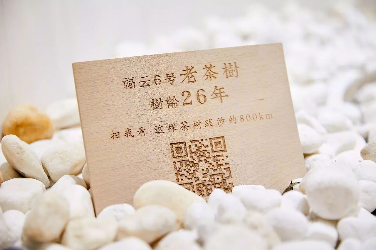 inWe 因味茶梅龍鎮廣場旗艦店 | 演繹時尚東方茶文化-34