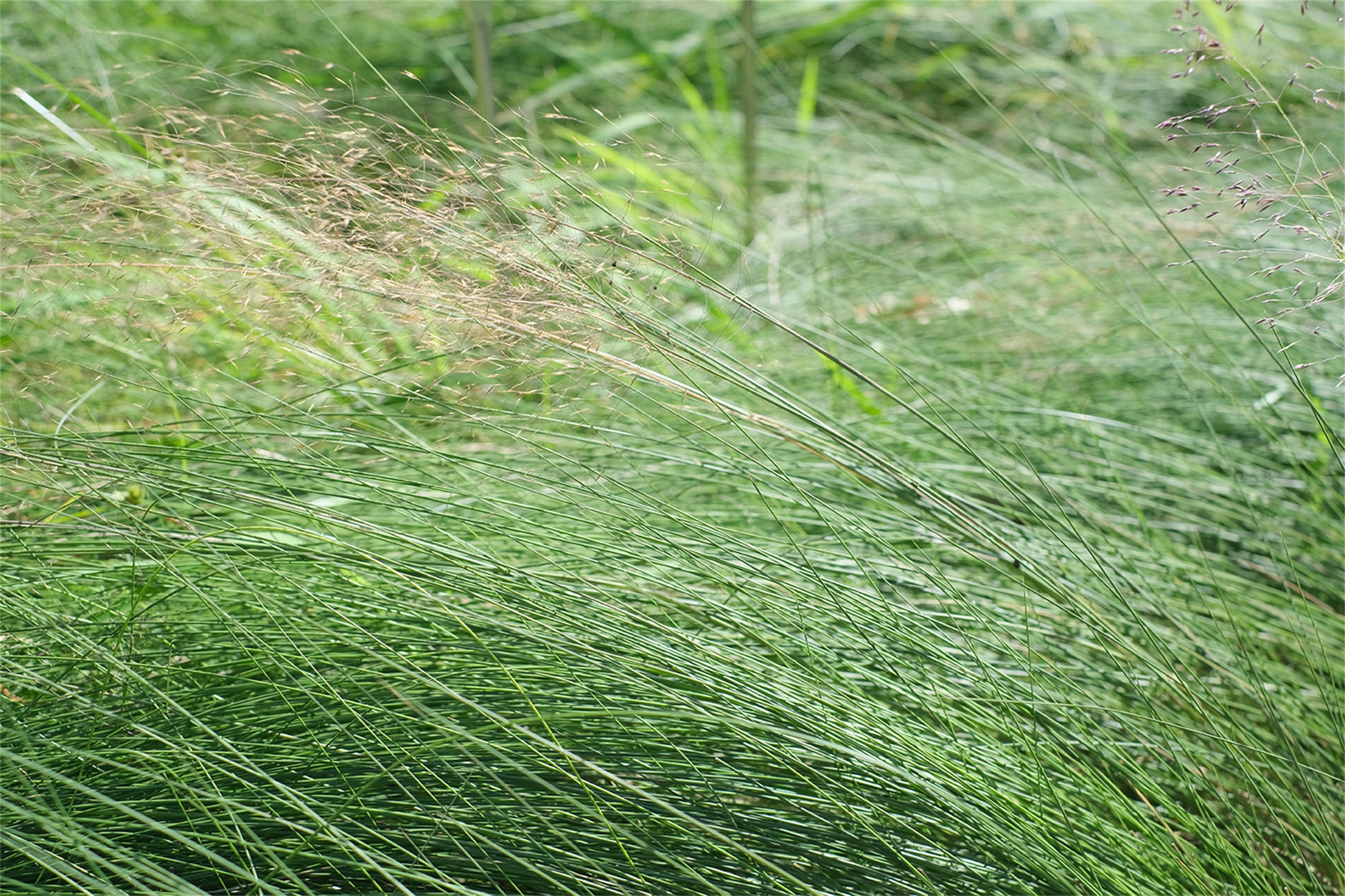 深圳水贝珠宝艺术花园丨中国深圳-172