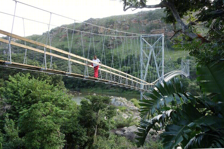 南非Mzamba吊桥-19