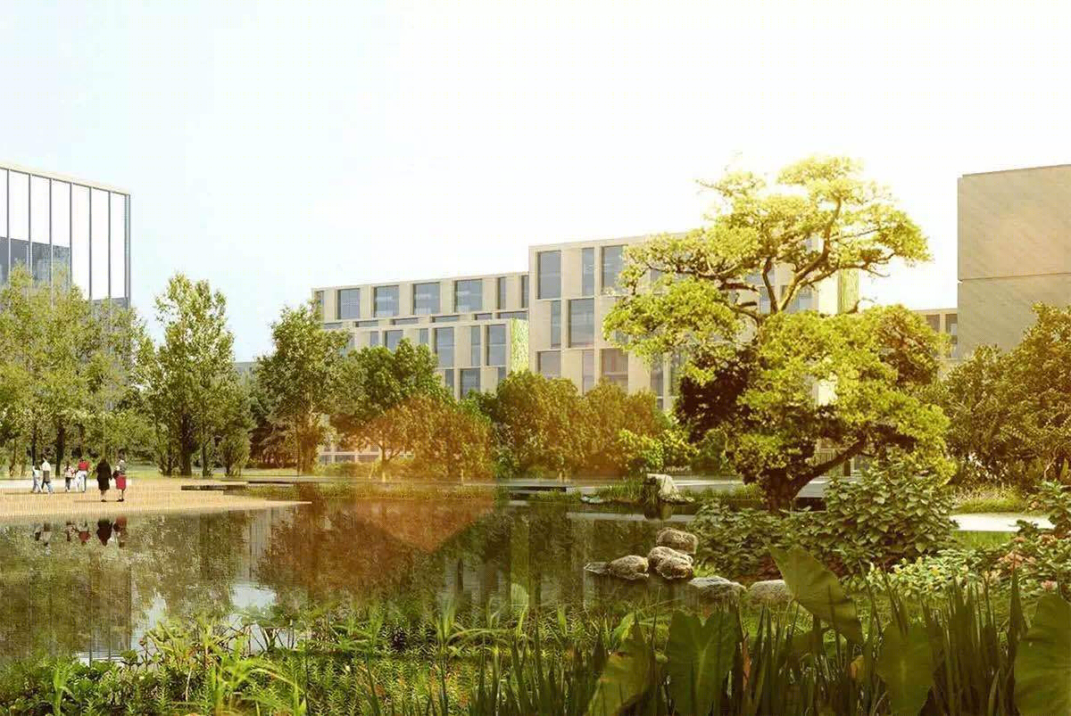杭州西湖大学总体规划-19