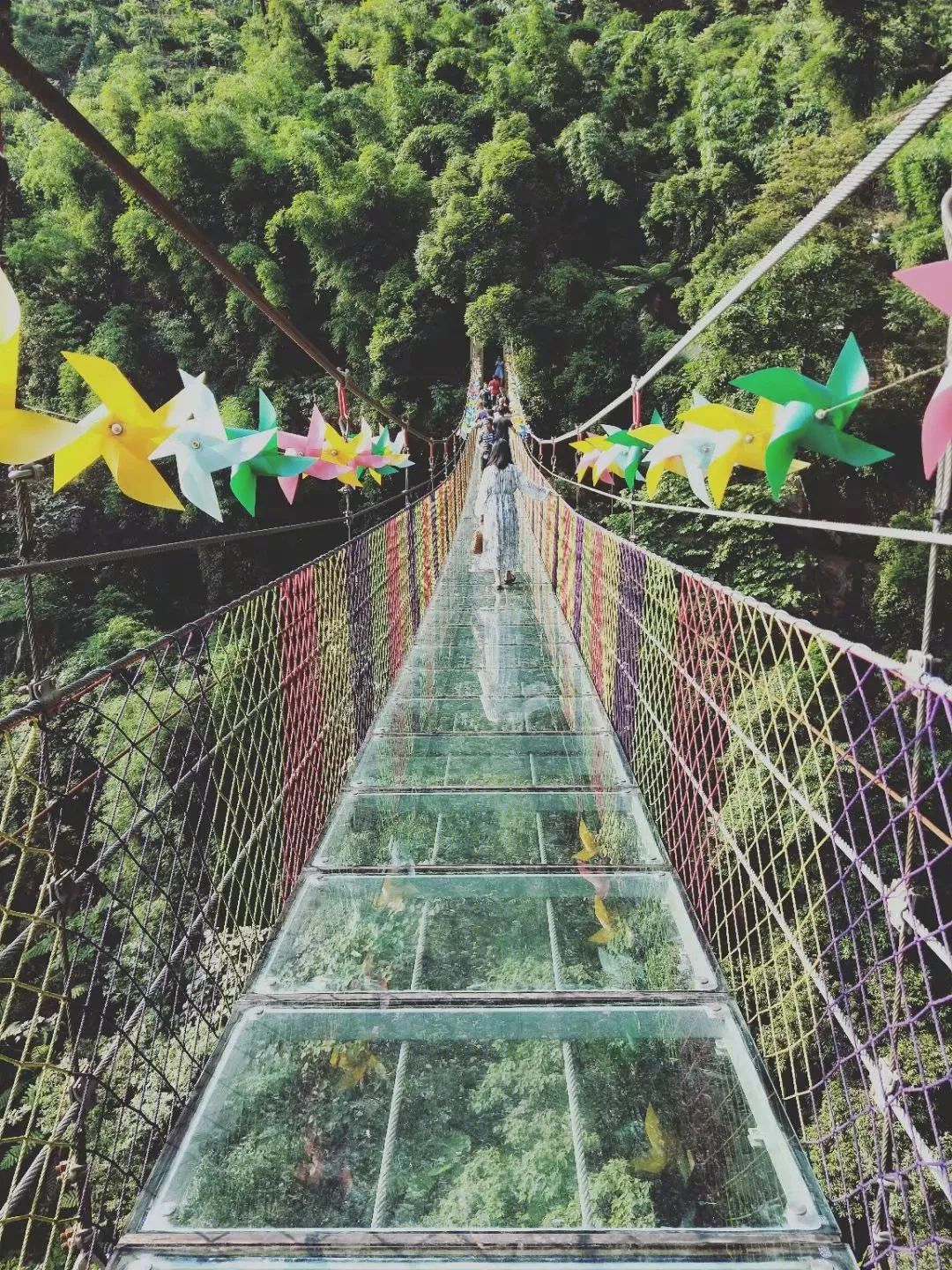 贵州赤水奇幻之旅 | 自然人文的和谐共生-53