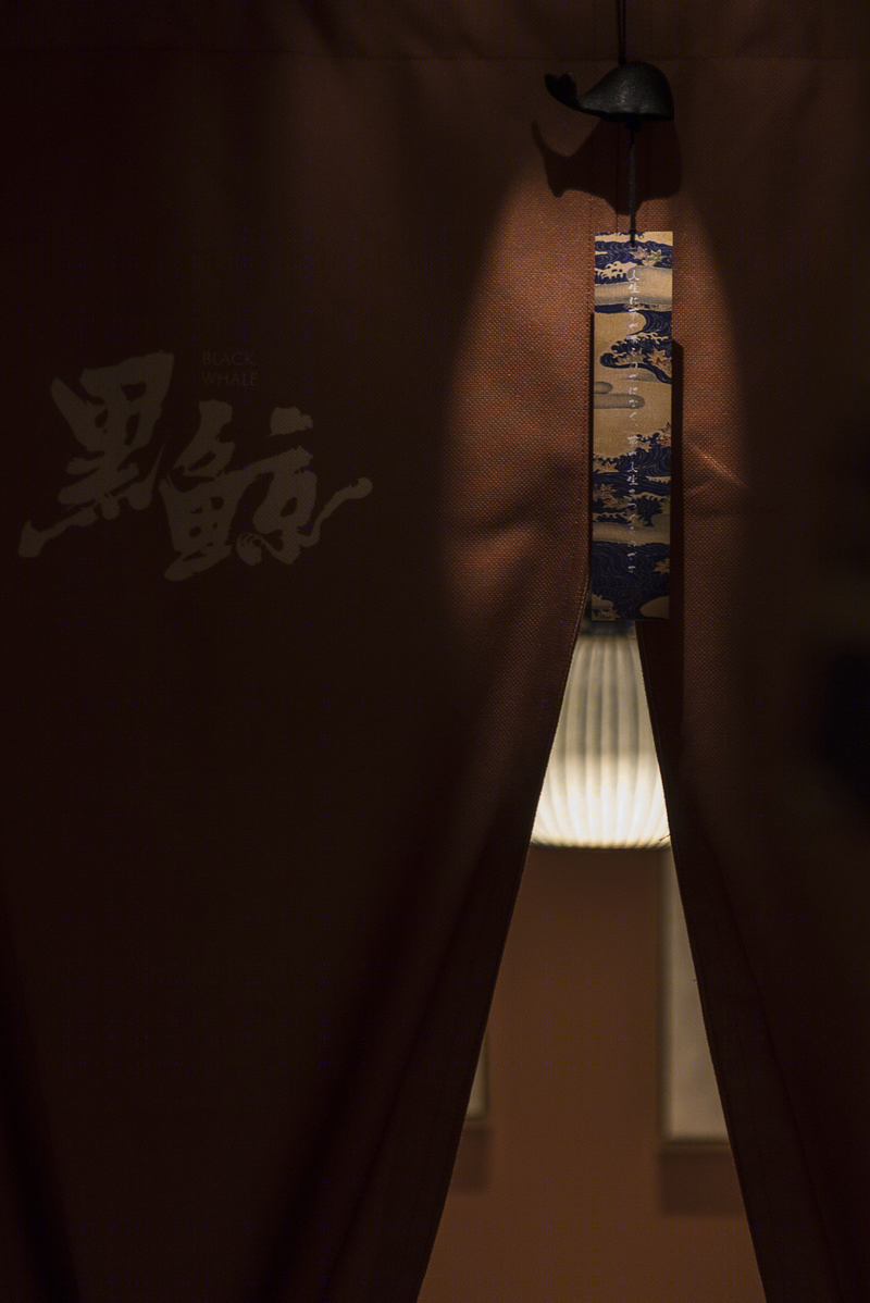 黑鲸-25