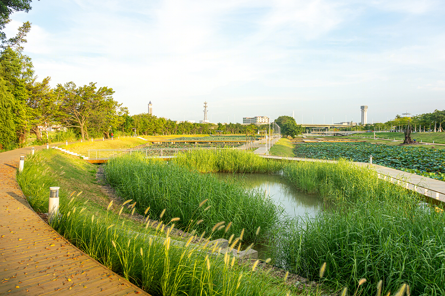 佛山文翰湖公园-10