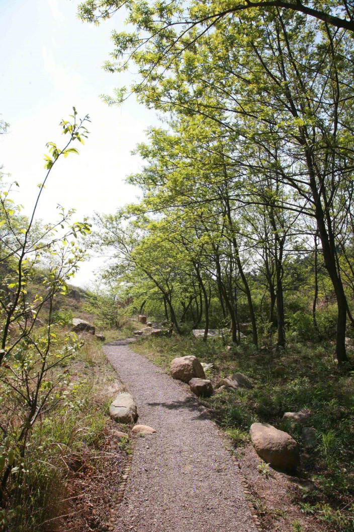 青岛万科小镇景观-18