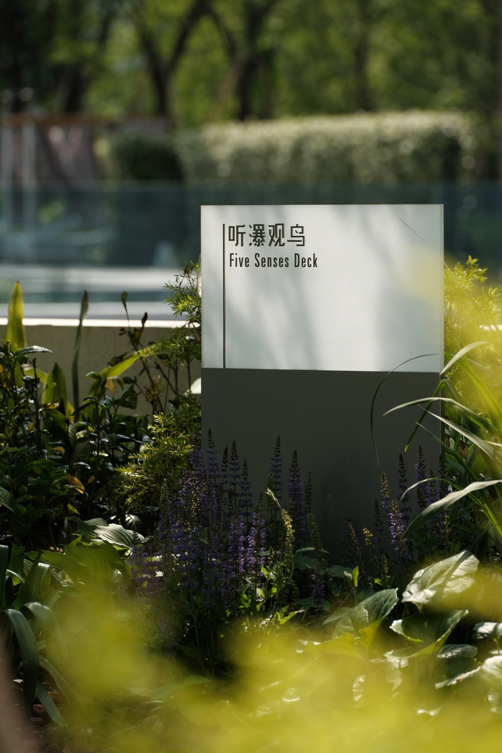 古翠隐秀(秀隐翠园)丨中国杭州-33