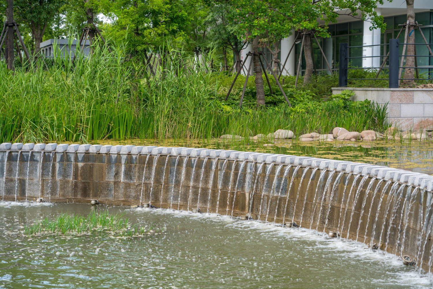 上海理工大学校园景观-32