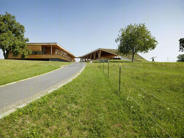 奥地利居辛农业学校丨Pichler&TraupmannArchitekten ZT GmbH-7